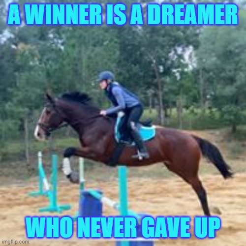 horse quote | A WINNER IS A DREAMER; WHO NEVER GAVE UP | image tagged in animals,cute animals,smart animals | made w/ Imgflip meme maker