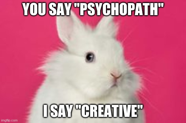 You say "Psychopath" | YOU SAY "PSYCHOPATH"; I SAY "CREATIVE" | image tagged in psychopath,cute bunny | made w/ Imgflip meme maker