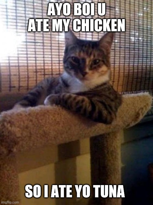 The Most Interesting Cat In The World | AYO BOI U ATE MY CHICKEN; SO I ATE YO TUNA | image tagged in memes,the most interesting cat in the world,boi | made w/ Imgflip meme maker