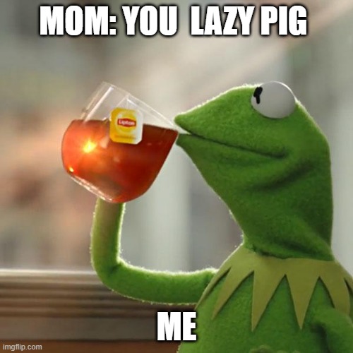 But That's None Of My Business Meme | MOM: YOU  LAZY PIG; ME | image tagged in memes,but that's none of my business,kermit the frog | made w/ Imgflip meme maker