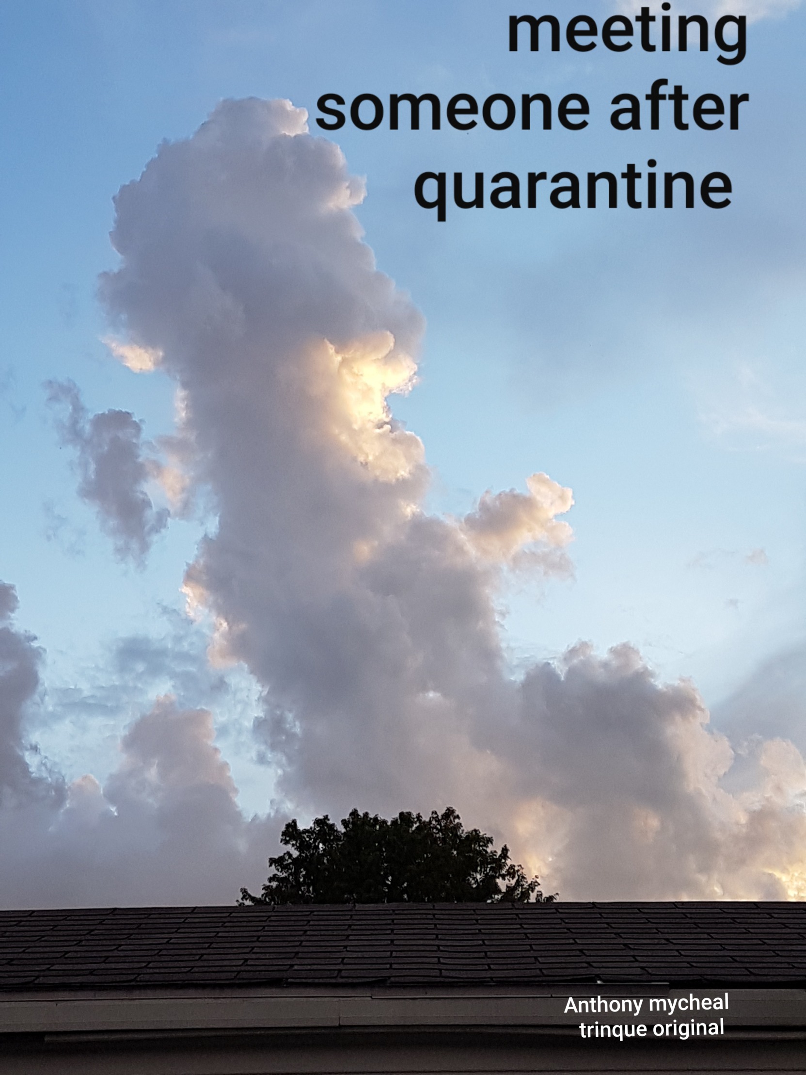 Dickulus nimbus Blank Meme Template