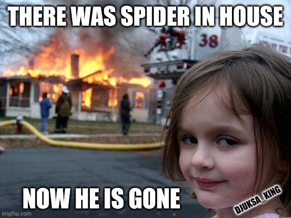 Disaster Girl | THERE WAS SPIDER IN HOUSE; NOW HE IS GONE; DJUKSA_KING | image tagged in memes,disaster girl | made w/ Imgflip meme maker