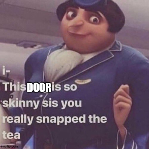 I- this wig is so skinny sis you really snapped the tea | DOOR | image tagged in i- this wig is so skinny sis you really snapped the tea | made w/ Imgflip meme maker