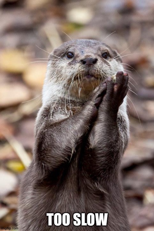 Slow-Clap Otter | TOO SLOW | image tagged in slow-clap otter | made w/ Imgflip meme maker