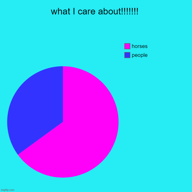 horses vs. people | what I care about!!!!!!! | people, horses | image tagged in charts,pie charts | made w/ Imgflip chart maker