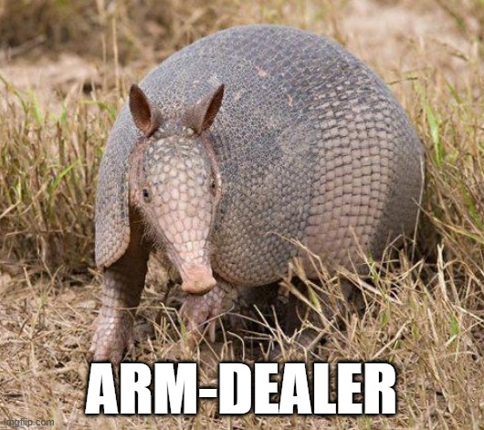 Arm-dealer | ARM-DEALER | image tagged in armadillo,dealer,guns,gun | made w/ Imgflip meme maker