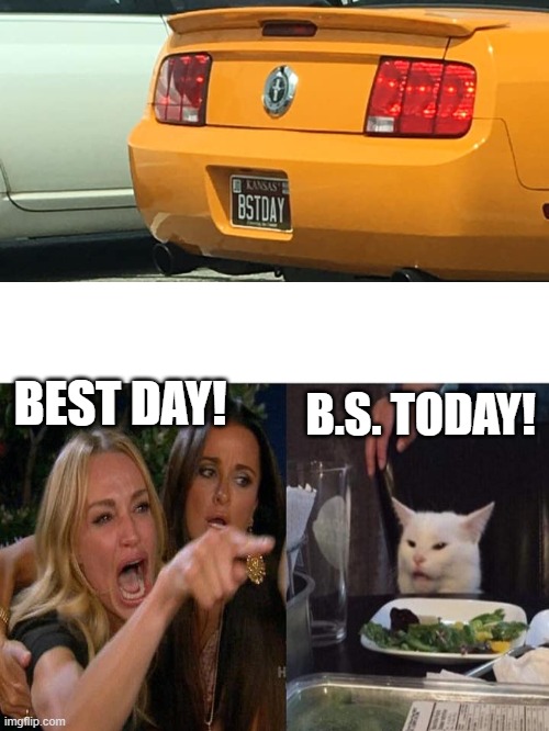 B.S. TODAY! BEST DAY! | image tagged in woman yelling at cat | made w/ Imgflip meme maker