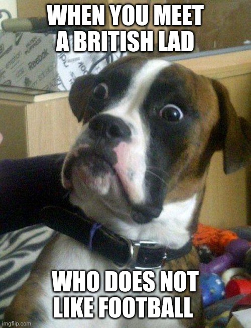 British lad problems | WHEN YOU MEET A BRITISH LAD; WHO DOES NOT LIKE FOOTBALL | image tagged in blankie the shocked dog,memes,football | made w/ Imgflip meme maker