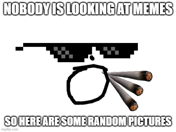 This is bad | NOBODY IS LOOKING AT MEMES; SO HERE ARE SOME RANDOM PICTURES | image tagged in blank white template | made w/ Imgflip meme maker