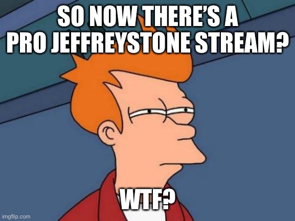 Futurama Fry Meme | SO NOW THERE’S A PRO JEFFREYSTONE STREAM? WTF? | image tagged in memes,futurama fry | made w/ Imgflip meme maker