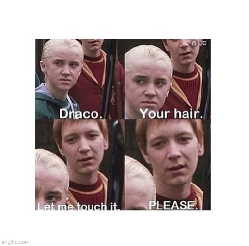 Draco, your hair | made w/ Imgflip meme maker
