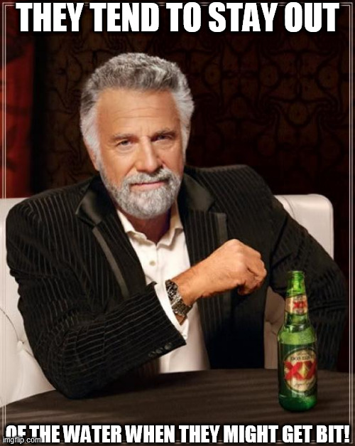 The Most Interesting Man In The World Meme | THEY TEND TO STAY OUT OF THE WATER WHEN THEY MIGHT GET BIT! | image tagged in memes,the most interesting man in the world | made w/ Imgflip meme maker