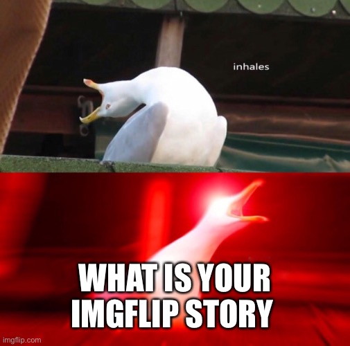 Like how did you get here or find out about it | WHAT IS YOUR IMGFLIP STORY | image tagged in inhales,funny memes,memes,backstory,origins | made w/ Imgflip meme maker