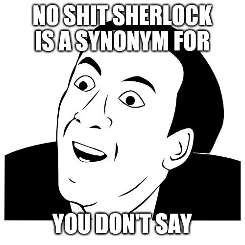 you don't say | NO SHIT SHERLOCK IS A SYNONYM FOR; YOU DON'T SAY | image tagged in you don't say | made w/ Imgflip meme maker
