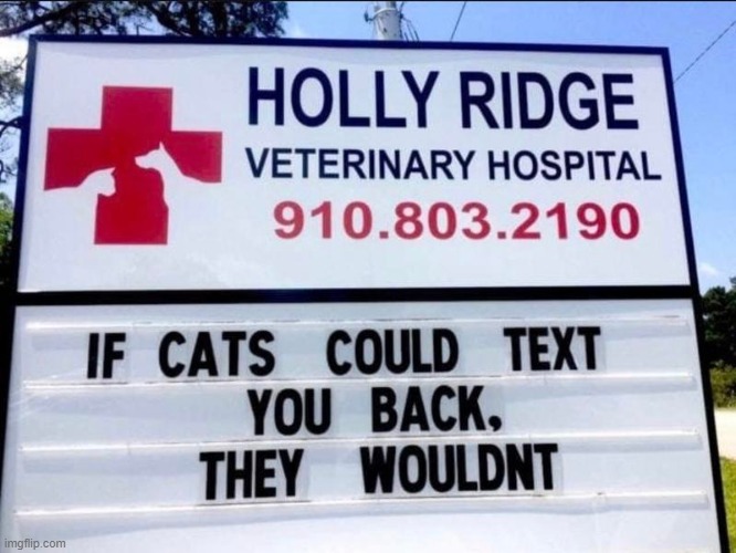 Funny sign - shared | . | image tagged in cats,signs,funny signs,veterinarian,like and share | made w/ Imgflip meme maker
