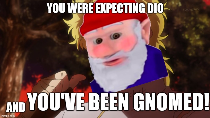 YOU'VE BEEN GNOMED! | YOU WERE EXPECTING DIO; AND; YOU'VE BEEN GNOMED! | image tagged in kono dio da,you've been gnomed,gnome | made w/ Imgflip meme maker