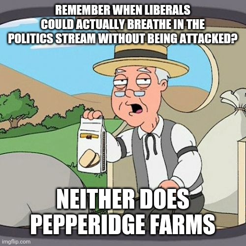 Pepperidge Farm Remembers | REMEMBER WHEN LIBERALS COULD ACTUALLY BREATHE IN THE POLITICS STREAM WITHOUT BEING ATTACKED? NEITHER DOES PEPPERIDGE FARMS | image tagged in memes,pepperidge farm remembers | made w/ Imgflip meme maker