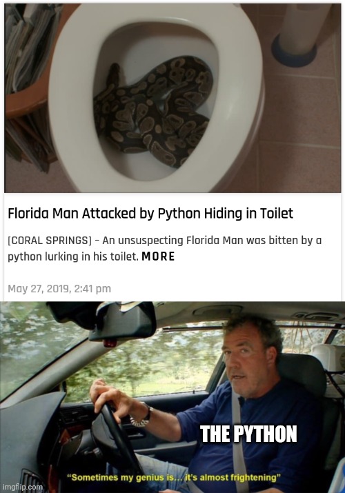 THE PYTHON | image tagged in sometimes my genius is it's almost frightening | made w/ Imgflip meme maker