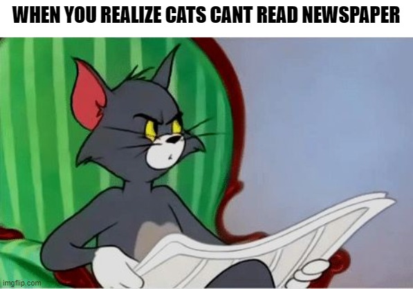 cats cant read | WHEN YOU REALIZE CATS CANT READ NEWSPAPER | image tagged in tom reading newspaper | made w/ Imgflip meme maker
