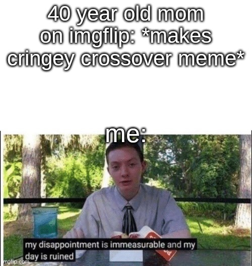 sorry if this offends anyone | 40 year old mom on imgflip: *makes cringey crossover meme*; me: | image tagged in my dissapointment is immeasurable and my day is ruined | made w/ Imgflip meme maker