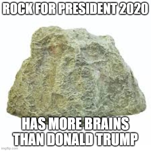 ROCK FOR PRESIDENT 2020 HAS MORE BRAINS THAN DONALD TRUMP | made w/ Imgflip meme maker