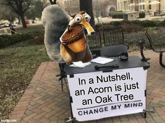 Change Scrats Mind | In a Nutshell,
an Acorn is just
an Oak Tree | image tagged in change my mind,memes,dad joke,in a nutshell,ice age,well yes but actually no | made w/ Imgflip meme maker