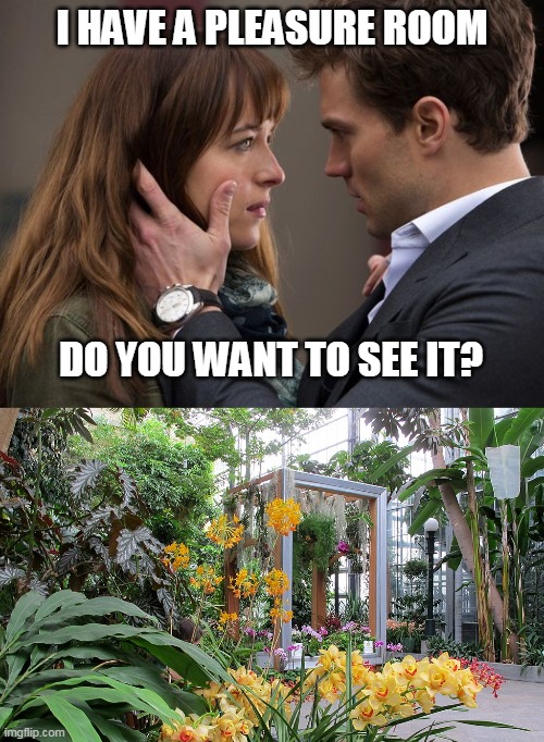 Plants addicted | I HAVE A PLEASURE ROOM; DO YOU WANT TO SEE IT? | image tagged in i have a pleasure room,plants,botanic,pleasure,plant lover,50 shades of grey | made w/ Imgflip meme maker