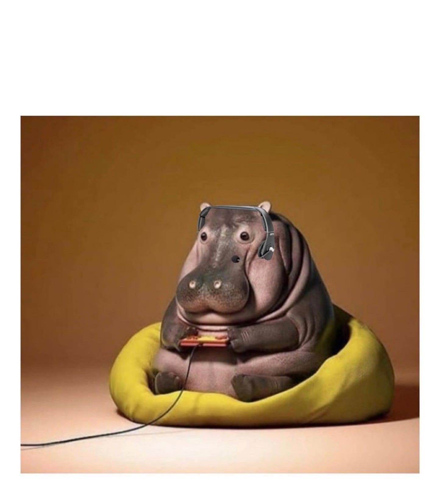 Gaming Hippo Blank Meme Template