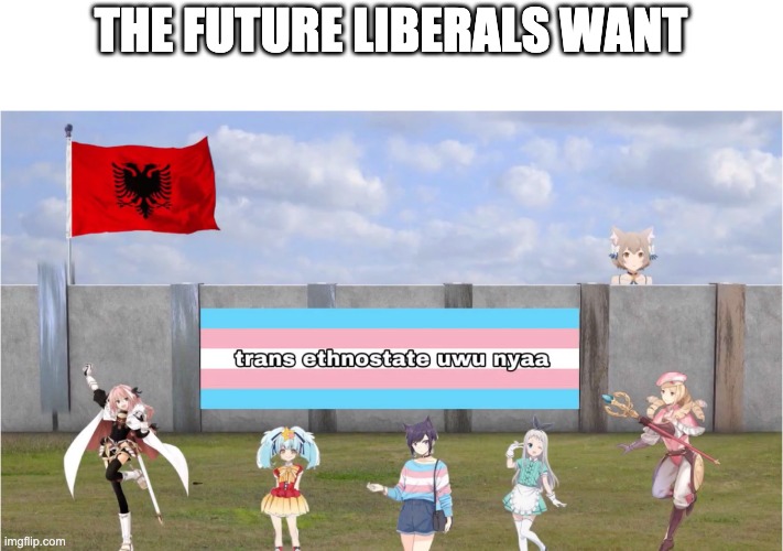 THE FUTURE LIBERALS WANT | image tagged in liberals | made w/ Imgflip meme maker