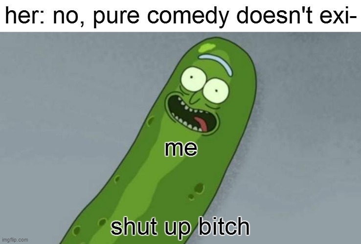 Pickle rick | her: no, pure comedy doesn't exi-; me; shut up bitch | image tagged in pickle rick | made w/ Imgflip meme maker