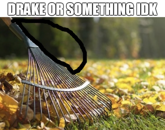 Rake | DRAKE OR SOMETHING IDK | image tagged in rake | made w/ Imgflip meme maker