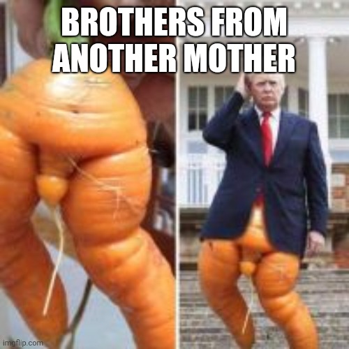 Carrot Trump | BROTHERS FROM ANOTHER MOTHER | image tagged in donald trump | made w/ Imgflip meme maker