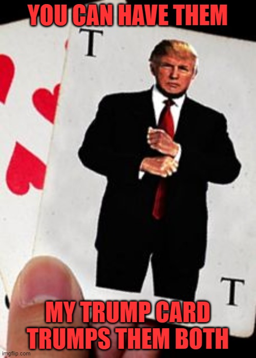 Donald trump card | YOU CAN HAVE THEM MY TRUMP CARD TRUMPS THEM BOTH | image tagged in donald trump card | made w/ Imgflip meme maker