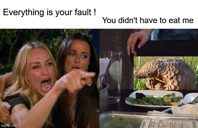 Woman Yelling At Cat | Everything is your fault ! You didn't have to eat me | image tagged in memes,woman yelling at cat,covid | made w/ Imgflip meme maker