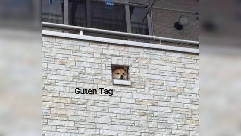 Guten Tag Blank Meme Template