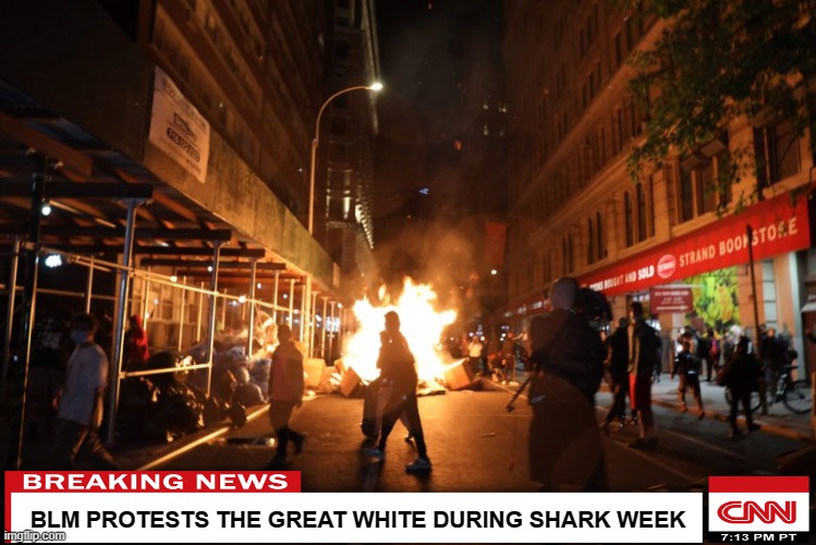 BLM PROTESTS THE GREAT WHITE DURING SHARK WEEK | image tagged in memes,blm,black lives matter,shark week,cnn breaking news,cnn | made w/ Imgflip meme maker