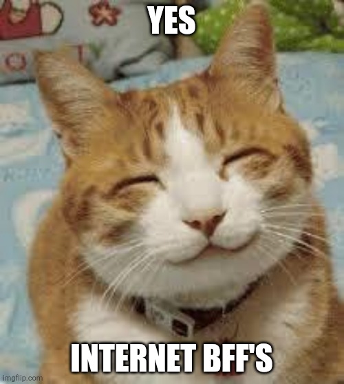 Happy cat | YES INTERNET BFF'S | image tagged in happy cat | made w/ Imgflip meme maker