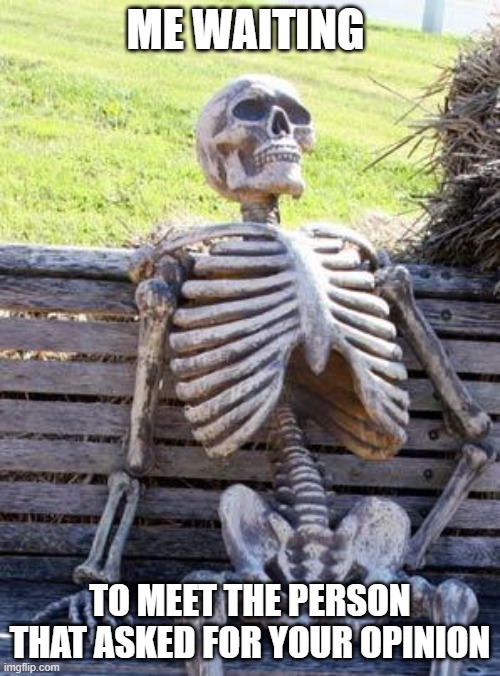 still waiting...... | ME WAITING; TO MEET THE PERSON THAT ASKED FOR YOUR OPINION | image tagged in memes,waiting skeleton,funny,fun,funny memes,irony | made w/ Imgflip meme maker