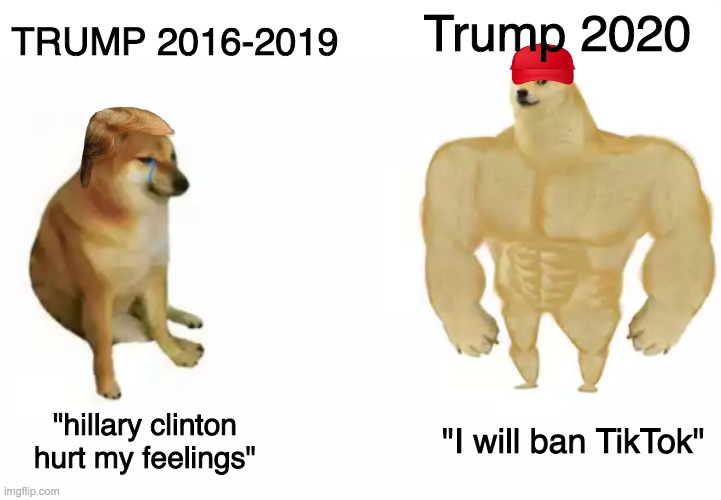 Politics is a joke |  Trump 2020; TRUMP 2016-2019; "I will ban TikTok"; "hillary clinton hurt my feelings" | image tagged in no | made w/ Imgflip meme maker