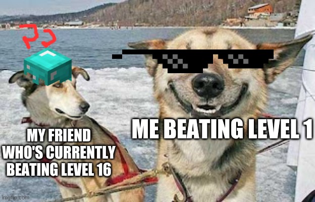 Mini person and Pro person |  MY FRIEND WHO'S CURRENTLY BEATING LEVEL 16; ME BEATING LEVEL 1 | image tagged in memes,original stoner dog | made w/ Imgflip meme maker