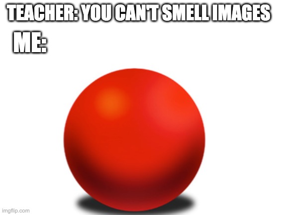 Relatable. | ME:; TEACHER: YOU CAN'T SMELL IMAGES | image tagged in memes,funny,right in the childhood | made w/ Imgflip meme maker