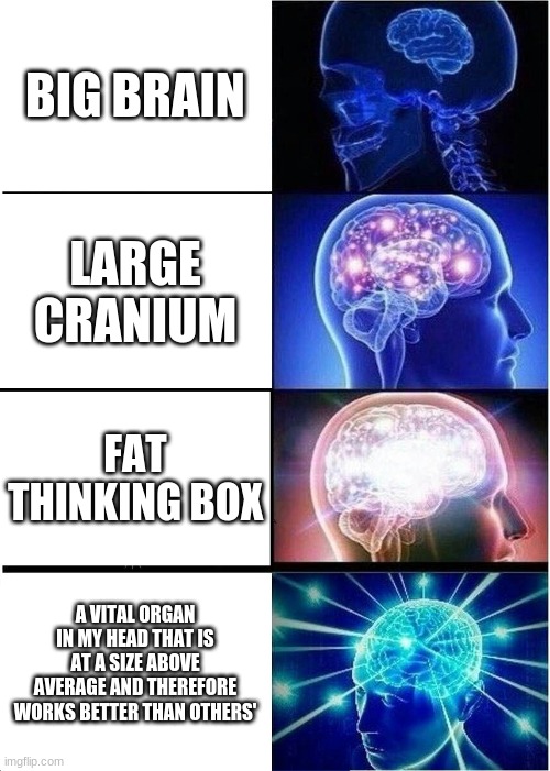 Expanding Brain Meme | BIG BRAIN; LARGE CRANIUM; FAT THINKING BOX; A VITAL ORGAN IN MY HEAD THAT IS AT A SIZE ABOVE AVERAGE AND THEREFORE WORKS BETTER THAN OTHERS' | image tagged in memes,expanding brain,funny | made w/ Imgflip meme maker