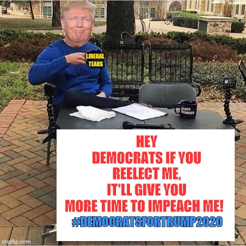 Mail in voting | HEY DEMOCRATS IF YOU REELECT ME, IT'LL GIVE YOU MORE TIME TO IMPEACH ME! #DEMOCRATSFORTRUMP2020 | image tagged in mail in voting | made w/ Imgflip meme maker
