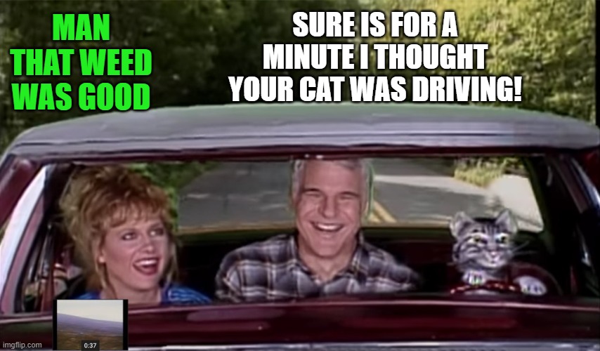 snl weekend | SURE IS FOR A MINUTE I THOUGHT YOUR CAT WAS DRIVING! MAN THAT WEED WAS GOOD | image tagged in steve martin,snl | made w/ Imgflip meme maker