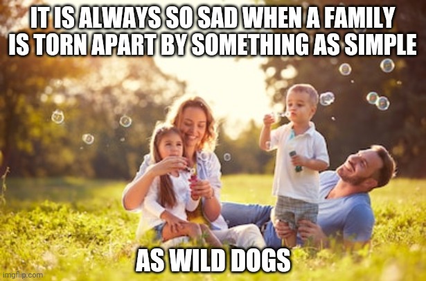 C'mon get happy |  IT IS ALWAYS SO SAD WHEN A FAMILY IS TORN APART BY SOMETHING AS SIMPLE; AS WILD DOGS | image tagged in happy family,fun,dark humor | made w/ Imgflip meme maker