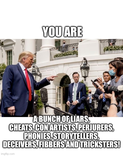 FAKE NEWS!!! | YOU ARE; A BUNCH OF LIARS, CHEATS, CON ARTISTS, PERJURERS, PHONIES, STORYTELLERS, DECEIVERS, FIBBERS AND TRICKSTERS! | image tagged in president trump,donald trump,trump,trump supporters,make america great again,election 2020 | made w/ Imgflip meme maker