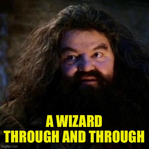 You're a wizard harry | A WIZARD THROUGH AND THROUGH | image tagged in you're a wizard harry | made w/ Imgflip meme maker