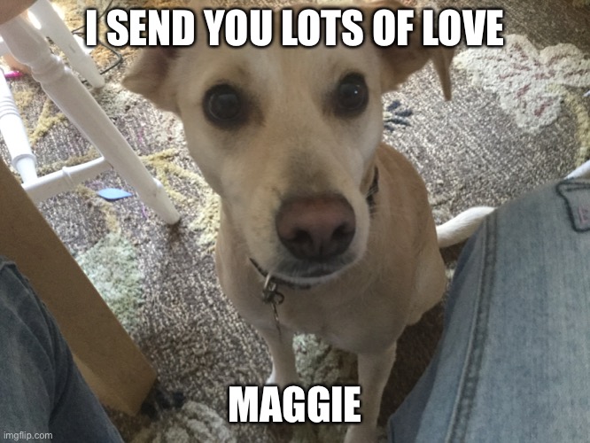 I SEND YOU LOTS OF LOVE MAGGIE | made w/ Imgflip meme maker