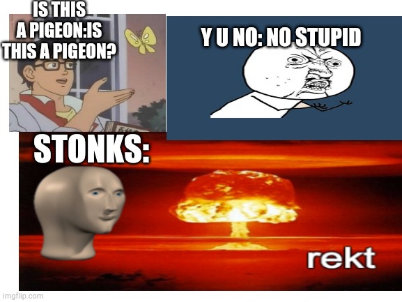 Meme conversations 1# | IS THIS A PIGEON:IS THIS A PIGEON? Y U NO: NO STUPID; STONKS: | image tagged in lol so funny | made w/ Imgflip meme maker
