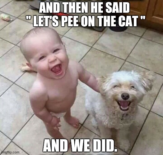 AND THEN HE SAID 
" LET'S PEE ON THE CAT "; AND WE DID. | image tagged in kids | made w/ Imgflip meme maker